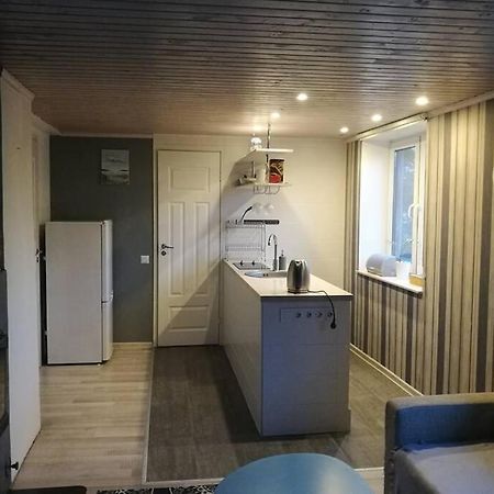 Quiet Place With Garden Studio Apartment Талин Екстериор снимка